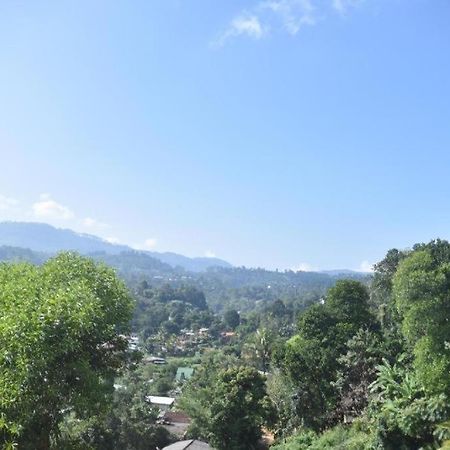 ホテル Mountain View バンダーラウェラ エクステリア 写真